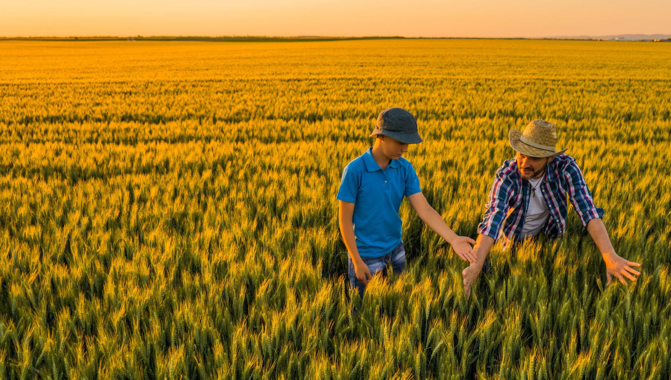 Farmer and son together in a field
