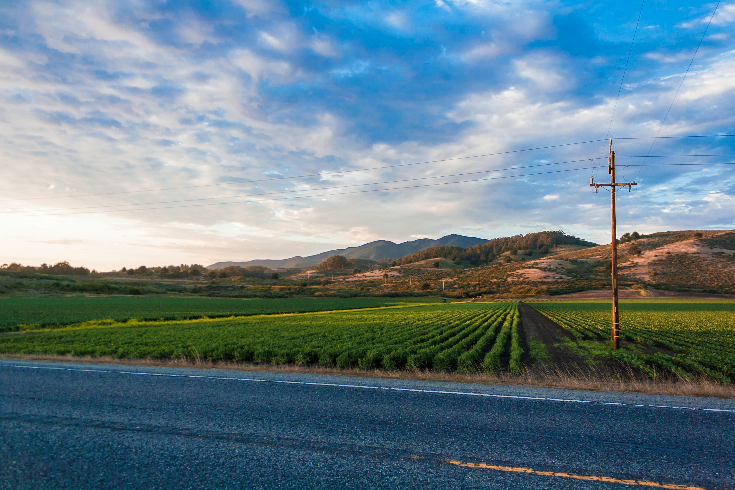 A scenic view of green fields and distant hills under a blue sky, with a power pole beside a quiet road.