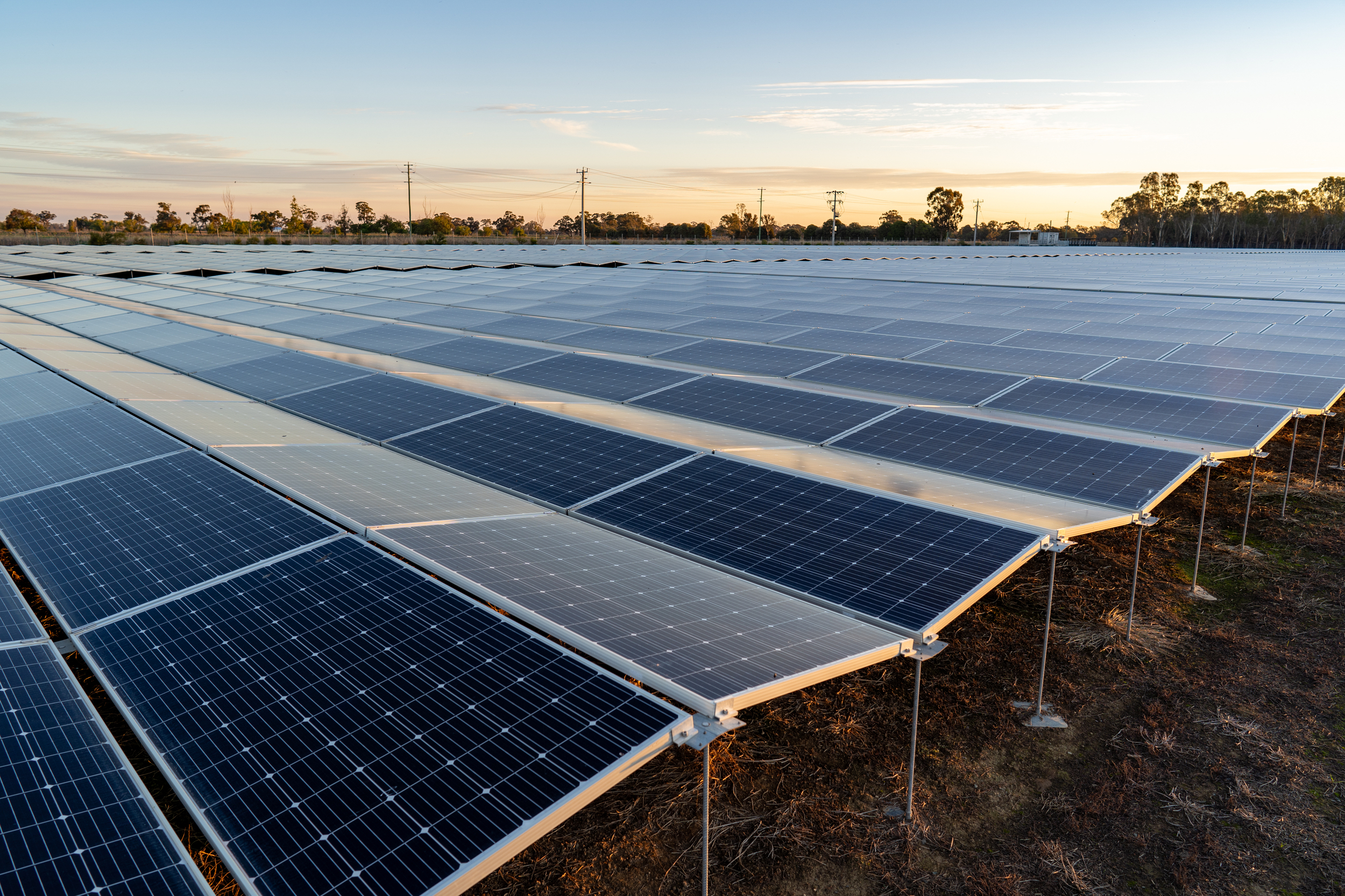 A solar panel field stretches across the landscape under a sunset sky, with rows of solar panels.